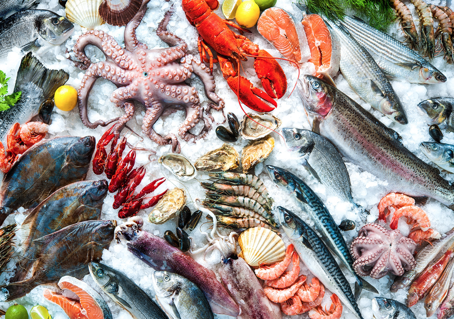 Seafood in Boston, legal seafood boston, best seafood boston